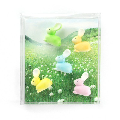 The bunny magnets in a nice gift box. 