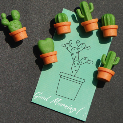 Cactus 6 pack, fridge magnets from Qualy.
