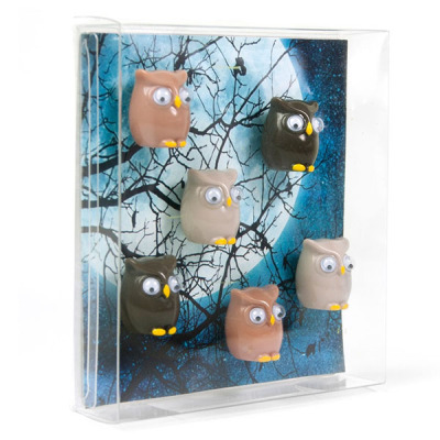Gift box with 6 magnetic owls