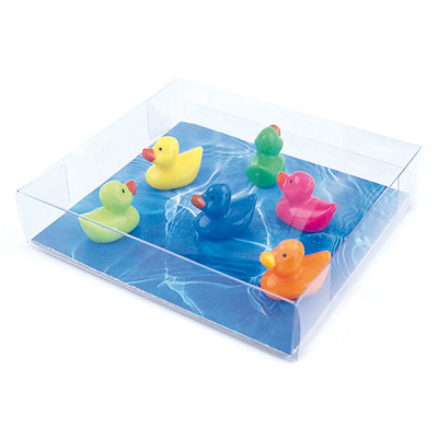 Gift box with 6 magnetic ducks