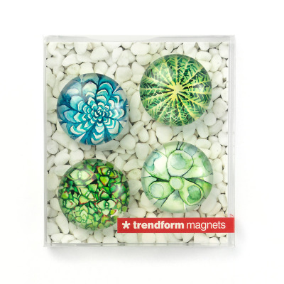You get 4 different magnets in a gift box. Trendform EY2032 Succulent.