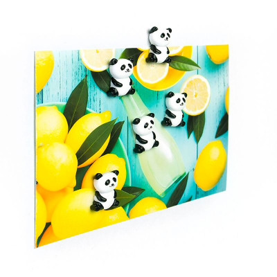 Make fun and colorful art on the fridge with the panda magnets and colorful postcards. Trendform FA4573.