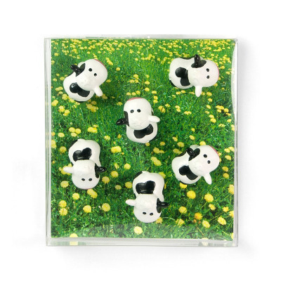 Cute gift box with 6 black spotted cows from Trendform Magnets