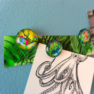 Use the magnets for hanging up notes, postcards, photos etc.