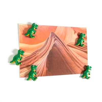 Make fun setups on your fridge for postcards, shopping lists and photos with dino magnets from Trendform.