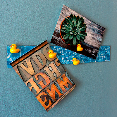 Use the ducky magnets for postcards, photos or small notes. The magnetic strip is self-adhesive and great for both the kitchen or the office