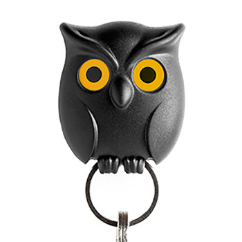 Night Owl Key Holder from Qualy Design is a magnetic key holder - will hold all your keys and can open an close its eyes.