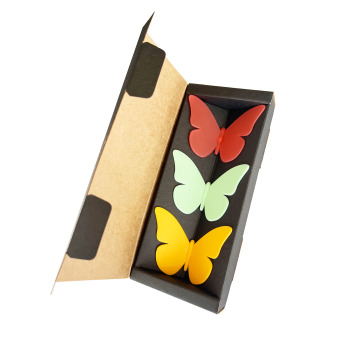 This is the package: red, green and sun yellow magnets that look like butterflies