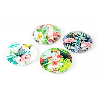 Jungle Bird magnets - trendy magnets from Trendform 4-pack