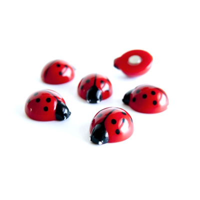 Ladybird magnet 6 pack from Trendform