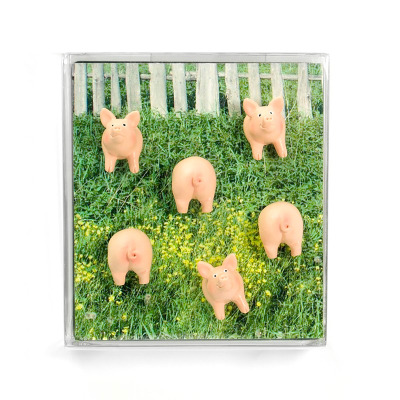 Fun and trendy fridge magnets from Trendform PIGGY