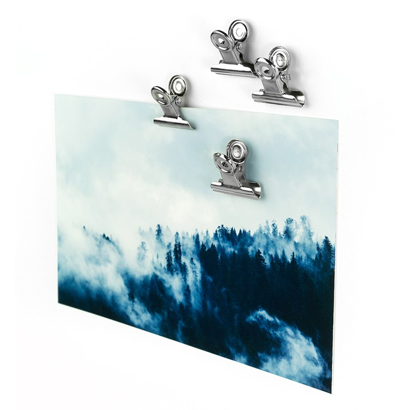 Magnetic clips silver, Bulldog xsmall 4-pack