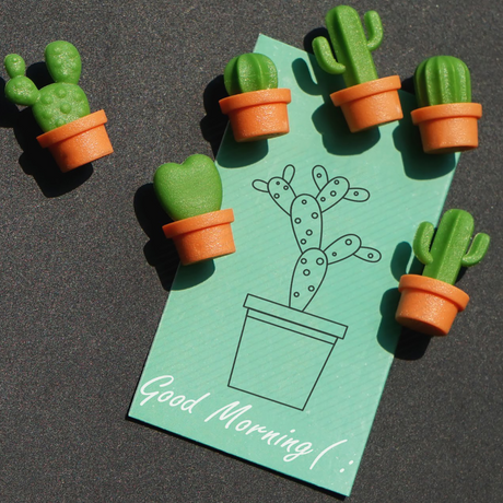 Cactus 6 pack, fridge magnets