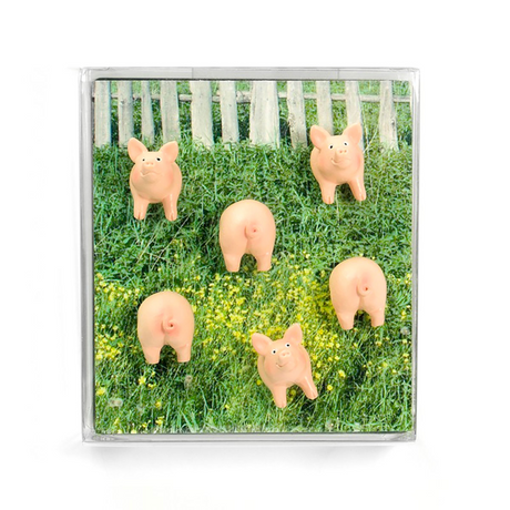 PIGGY magnets, 6 pack - fridge magnets