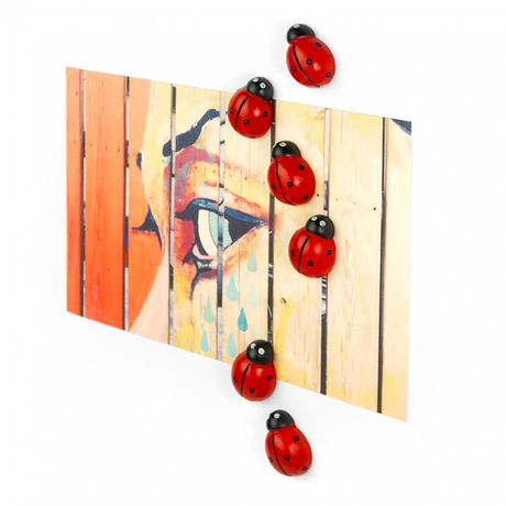 Ladybird magnets, 6 pack - fridge magnets