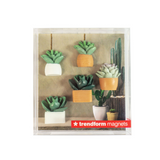 Cactus magnets, 5-pack - fridge magnets