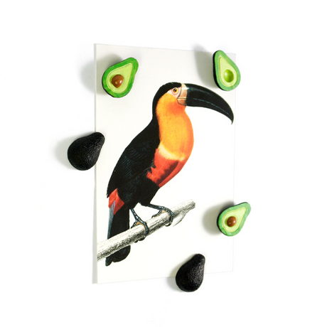 Avocado magnets, 5 pack - fridge magnets