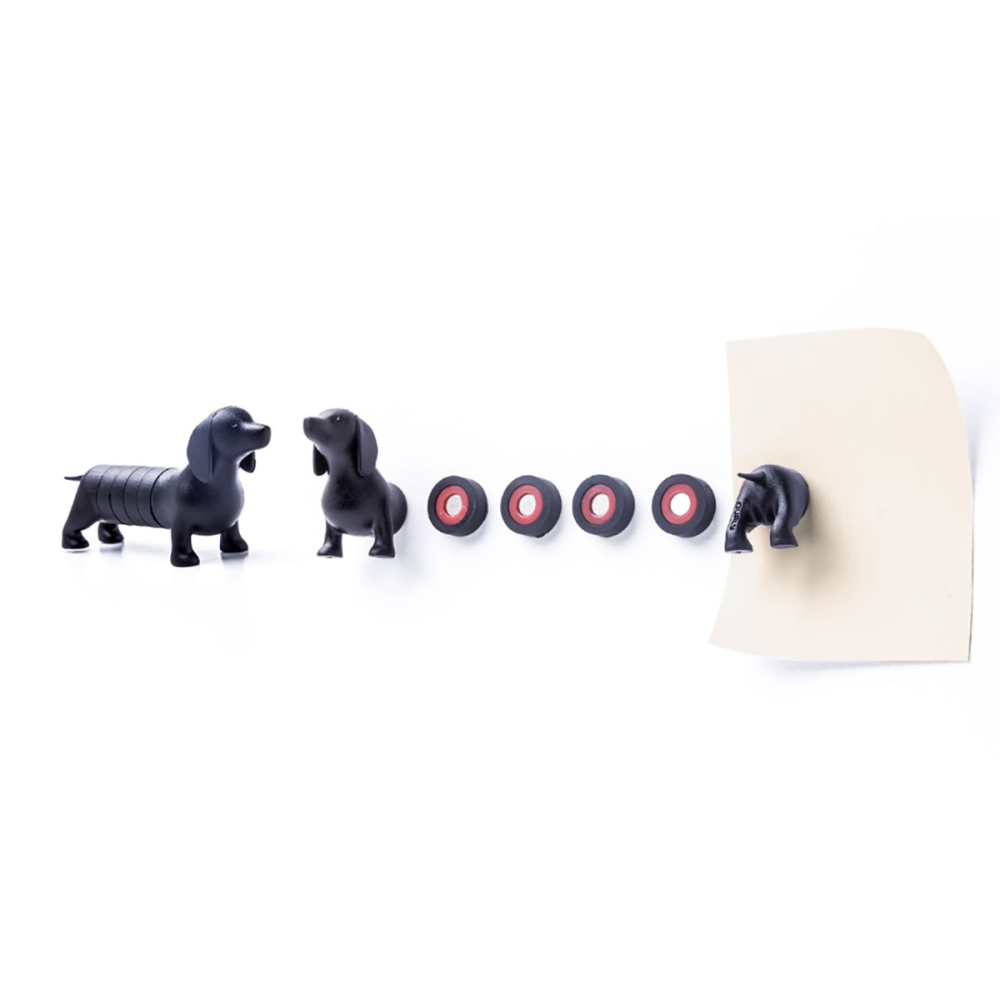 Dog in 6 parts, fridge magnet