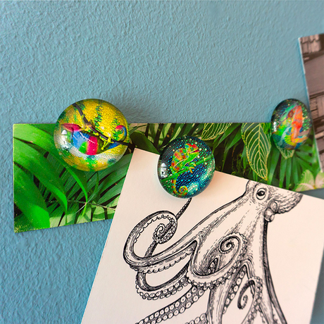 CHAMELEON Magnetic strip (self-adhesive) w/4 magnets