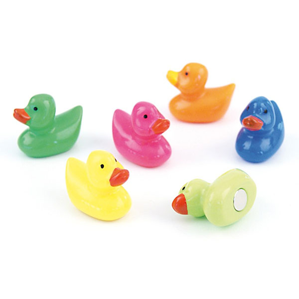 Duck Magnets 6 pack - fridge magnets