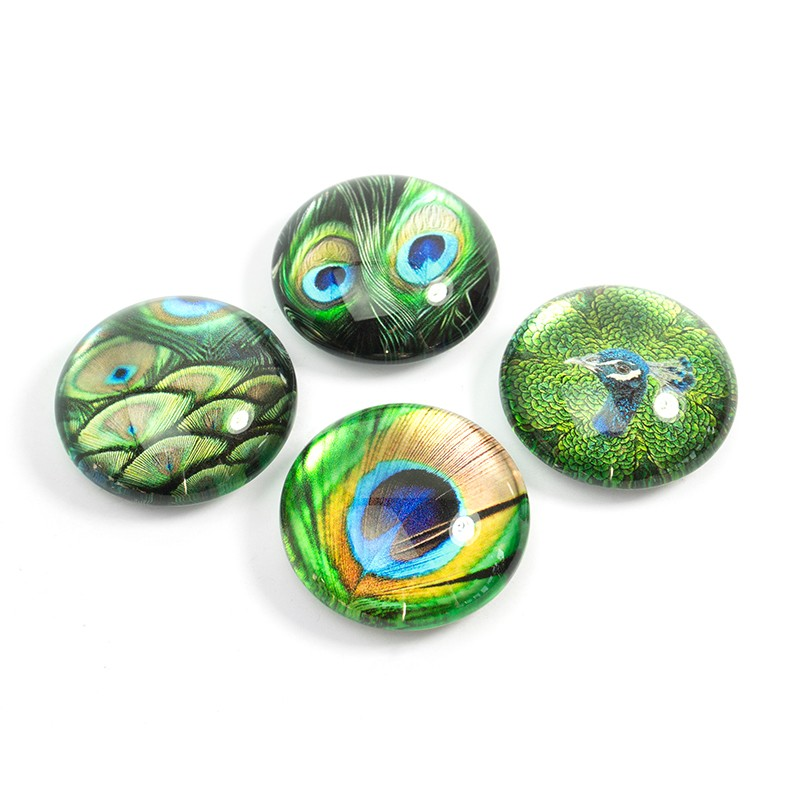 Peacock EYE 4 pack, fridge magnets