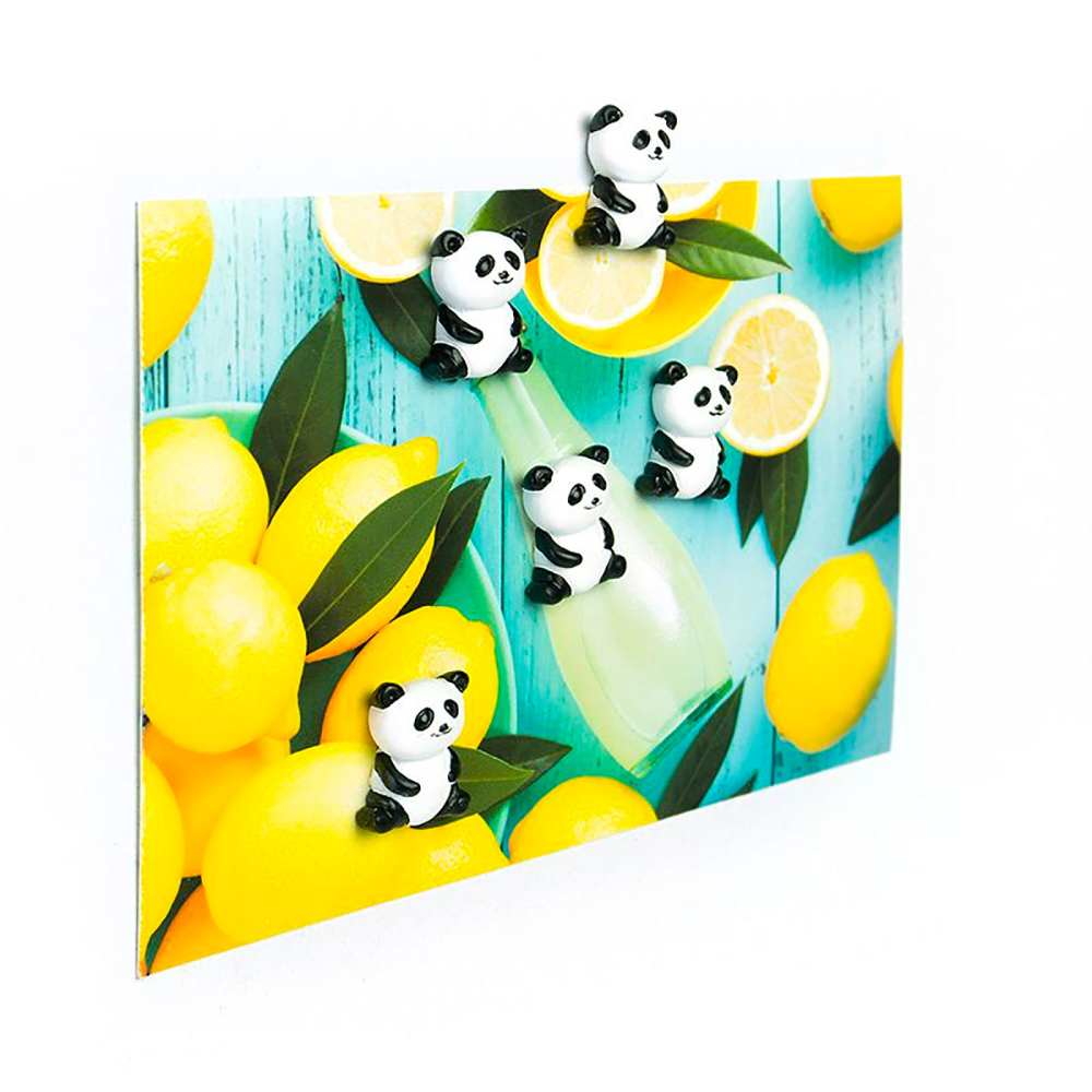 PANDA magnets, 5-pack - fridge magnets