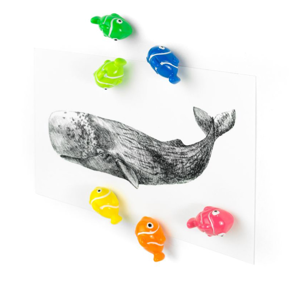 NEMO magnets, 6-pack - fridge magnets